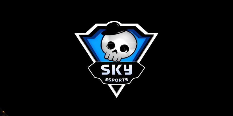 Skyesports appoints Sashank Bhandaru and Shuchi Kulshreshtha to ...