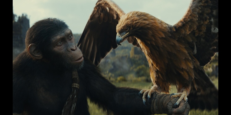 ‘Kingdom of the Planet of the Apes’ review: A sequel…