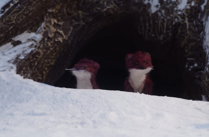 Fur, fear and a French title: the stoats taking animation&hellip;